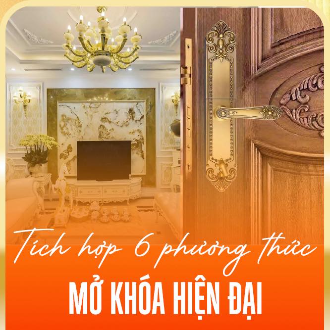 KHÓA ĐIỆN TỬ CADLER VT-110-DSF 