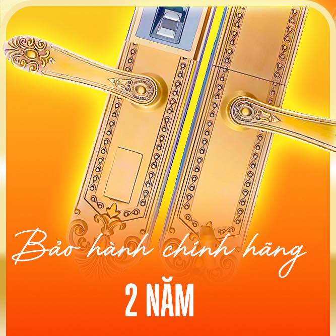 KHÓA ĐIỆN TỬ CADLER VT-110-DSF 