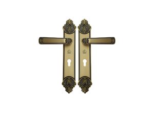 L – C06 – DSF