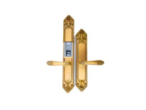 Khoá Điện Tử VT – 110 – DSF