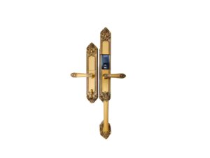 Khoá Điện Tử VT – 111 – DSF